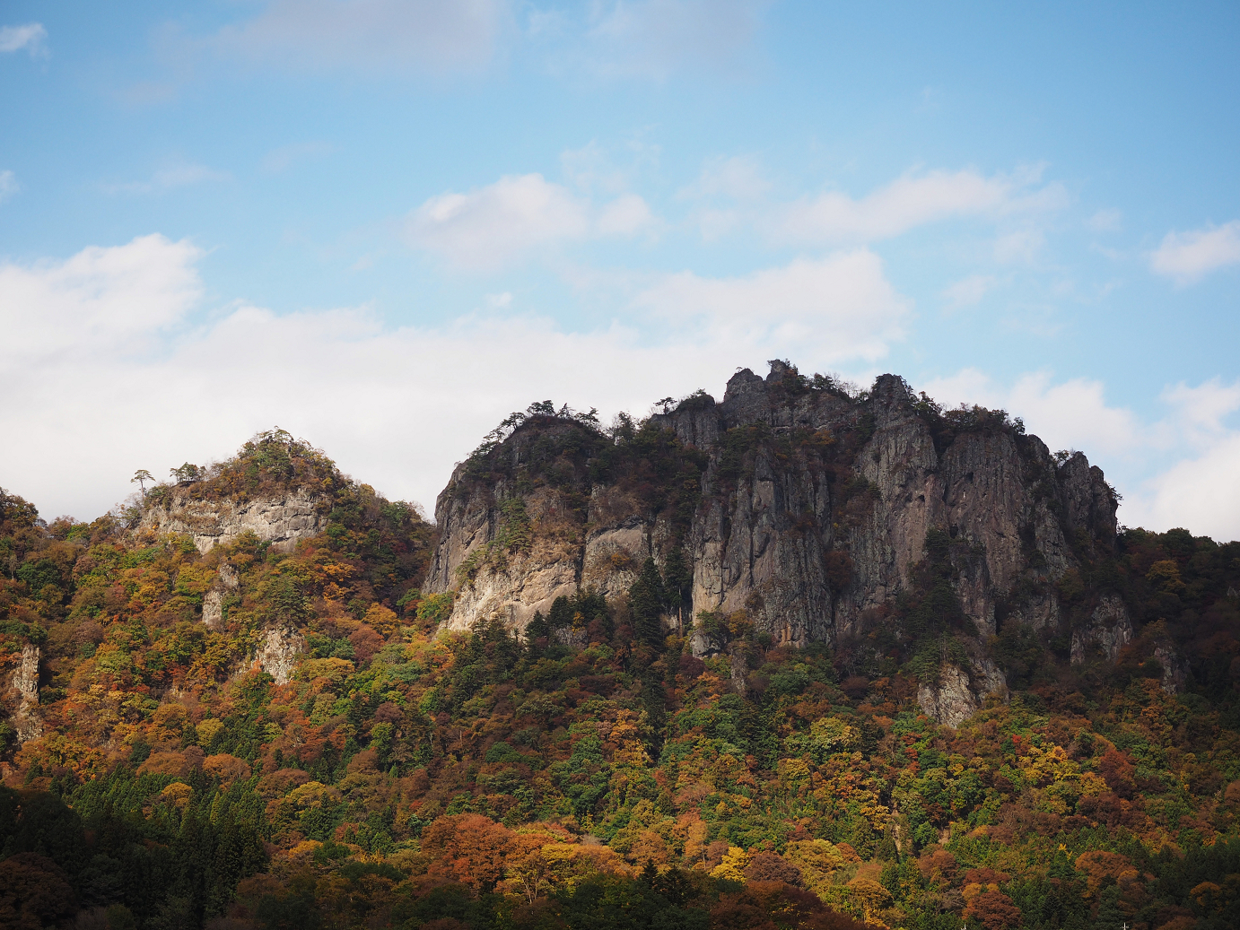 PA310408.jpg