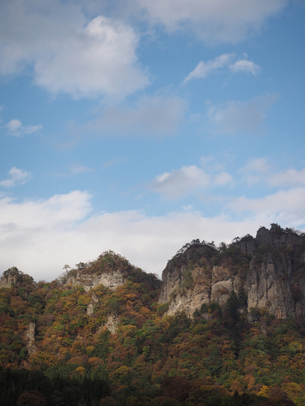 PA310410.jpg