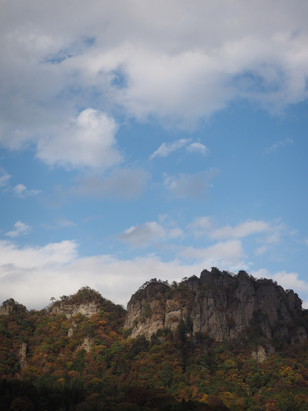 PA310411.jpg