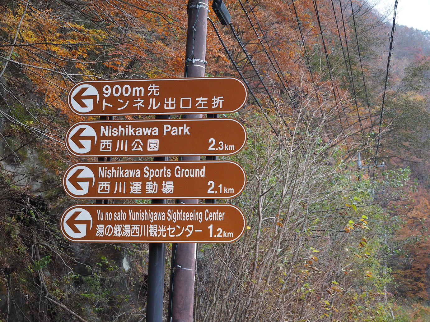 PB070481.jpg