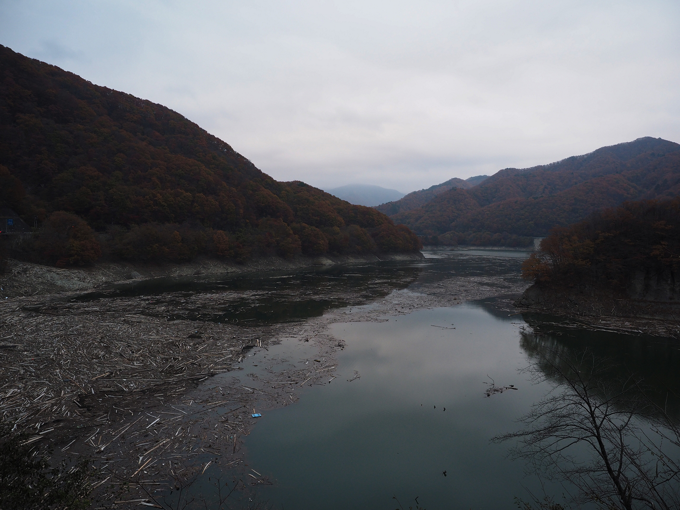 PB070482.jpg