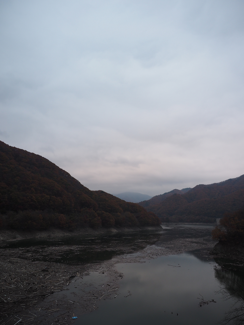 PB070483.jpg