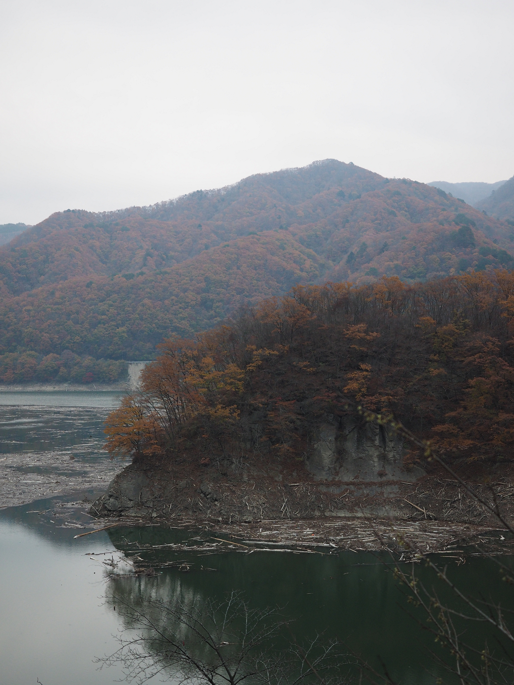 PB070486.jpg