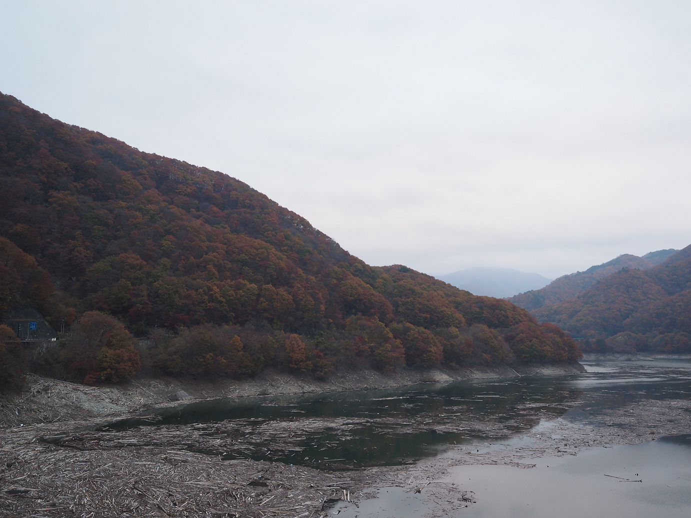 PB070488.jpg