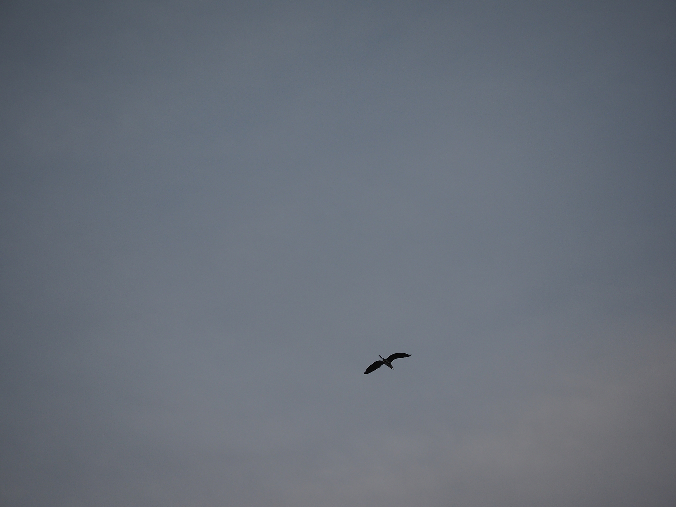 PB130041.jpg