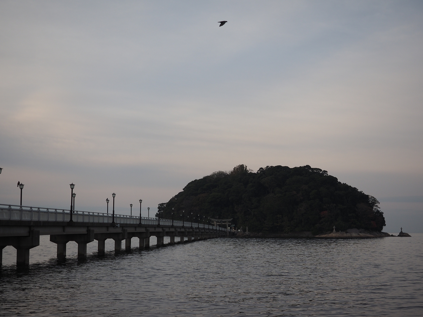 PB130053.jpg