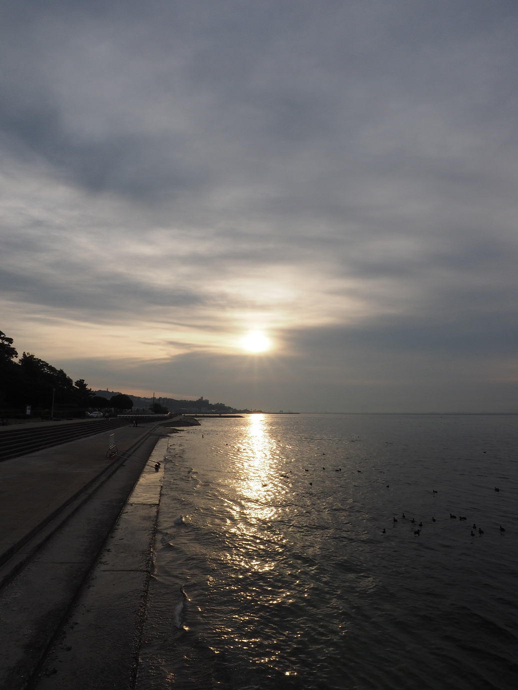PB130062.jpg