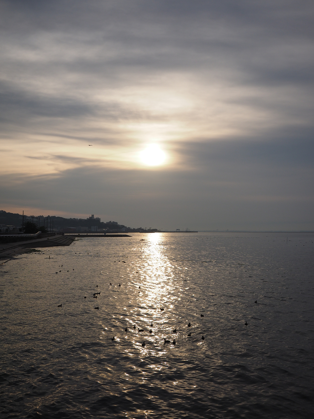 PB130063.jpg