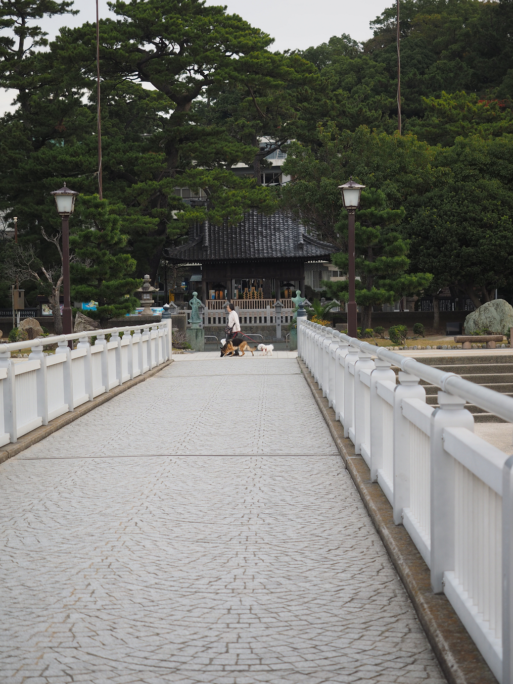 PB130079.jpg