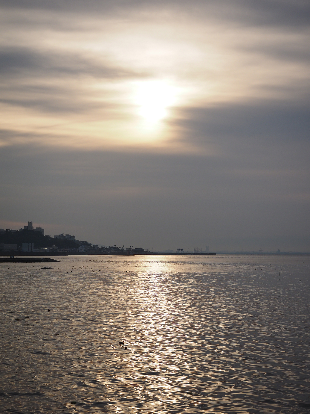 PB130081.jpg
