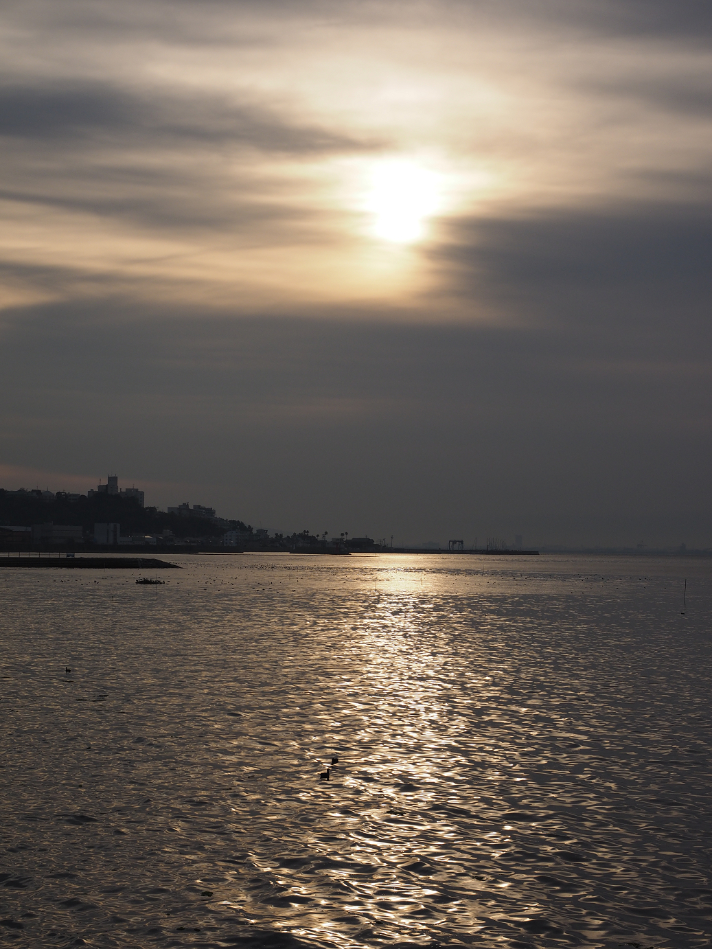 PB130082.jpg