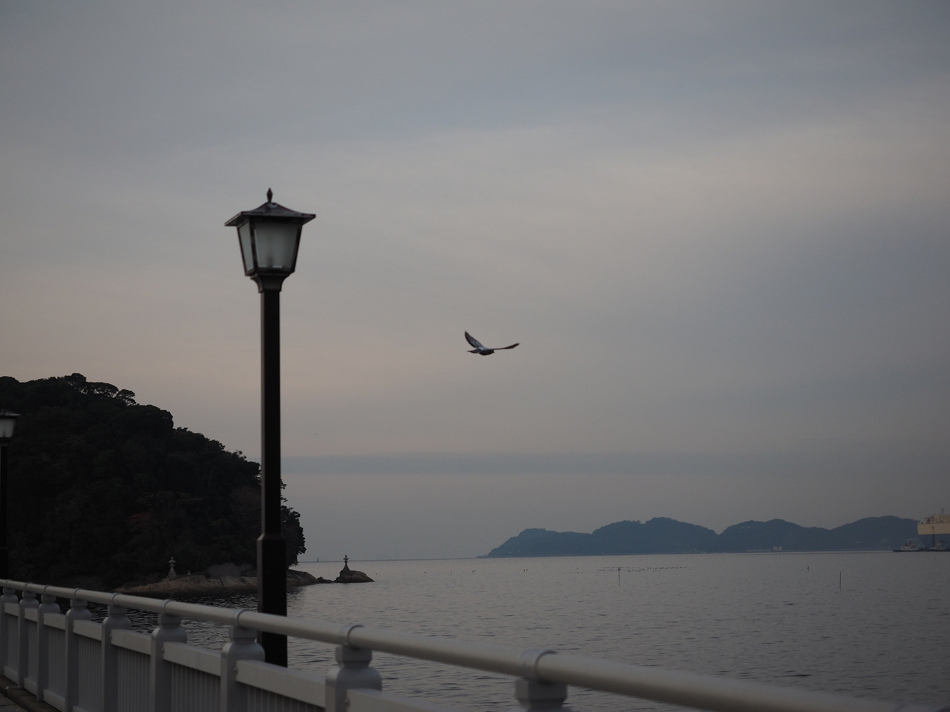 PB130086.jpg
