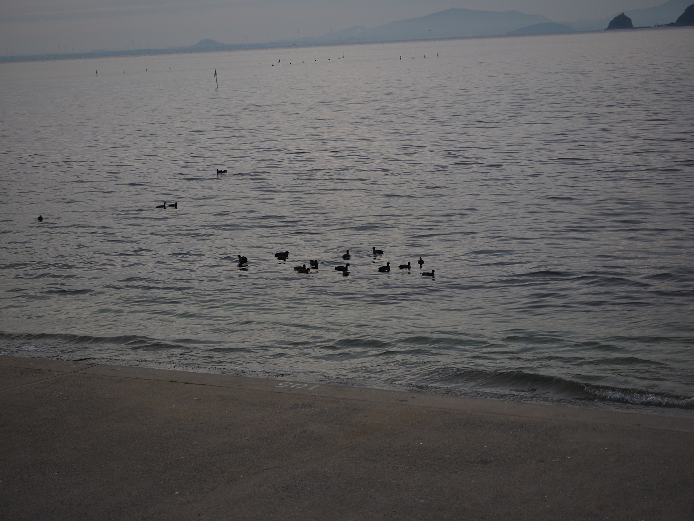 PB130087.jpg