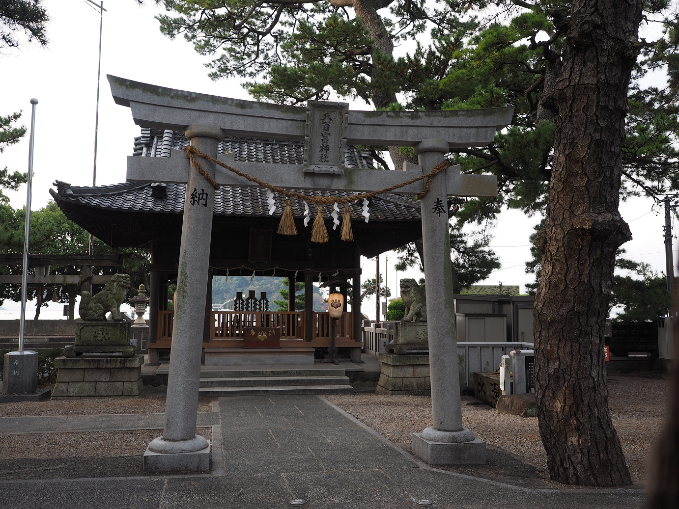 PB130090.jpg
