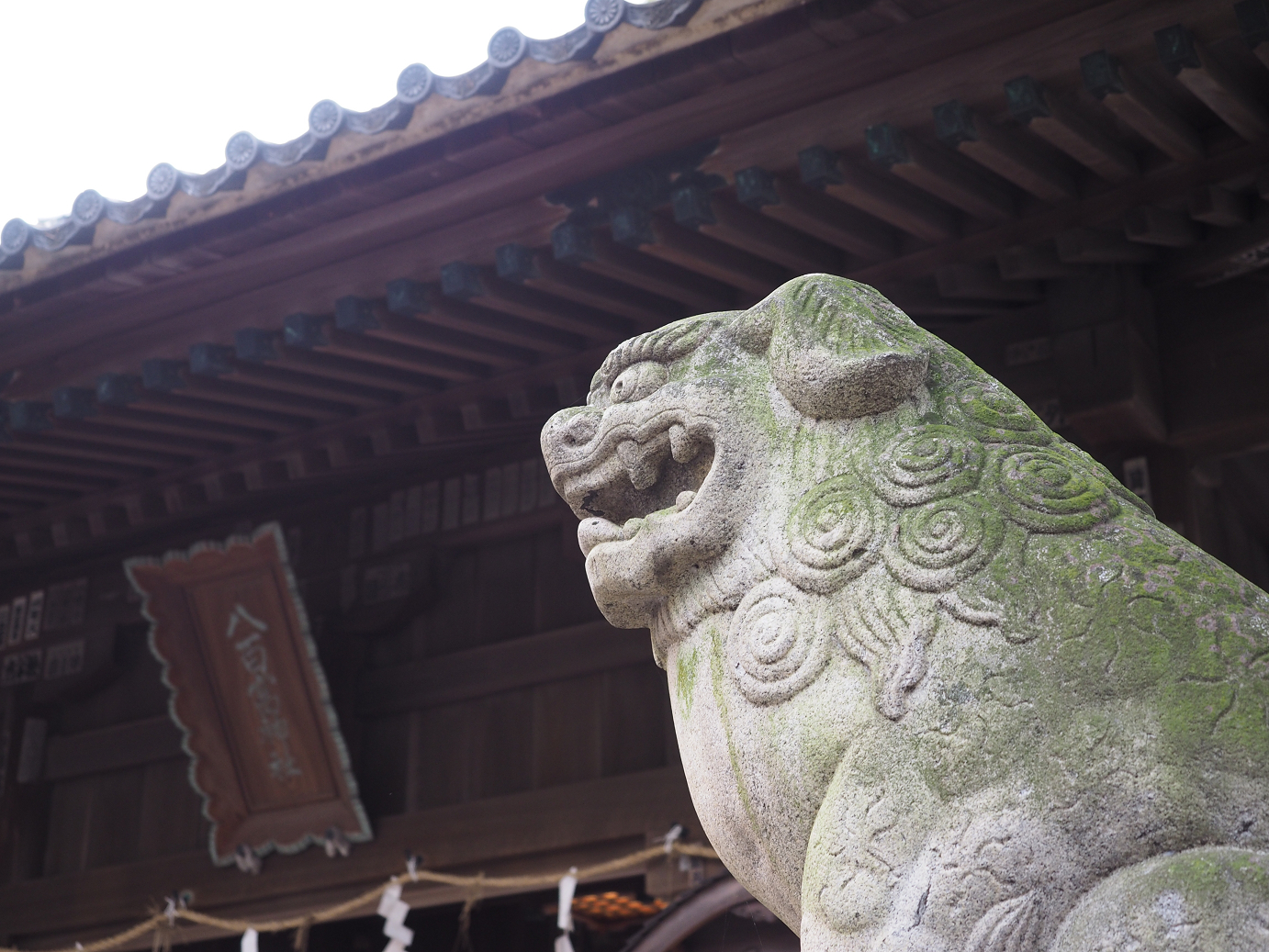 PB130094.jpg