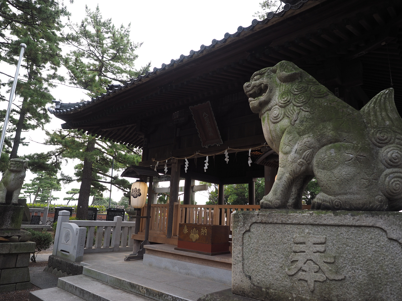 PB130095.jpg