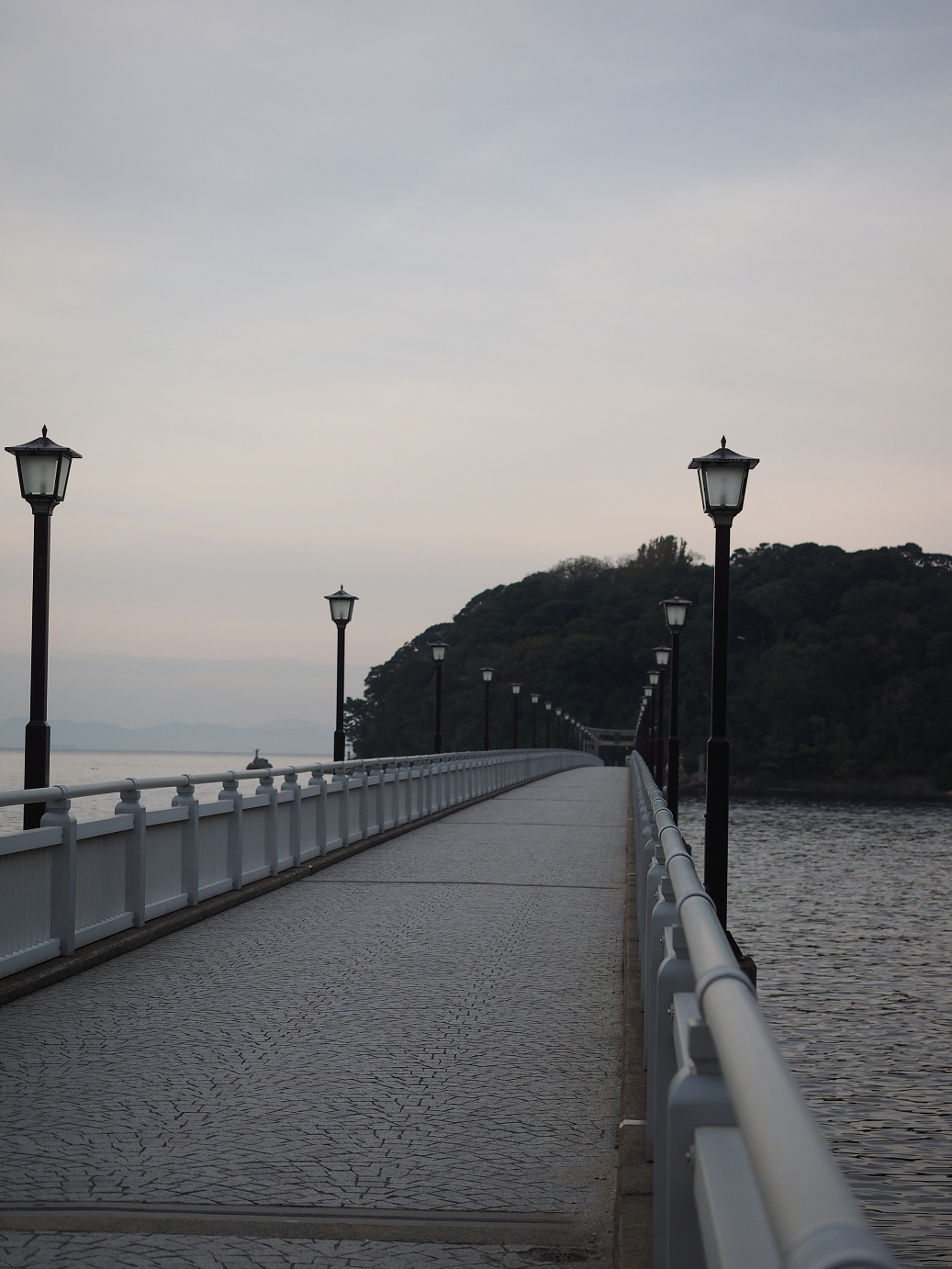 PB130103.jpg