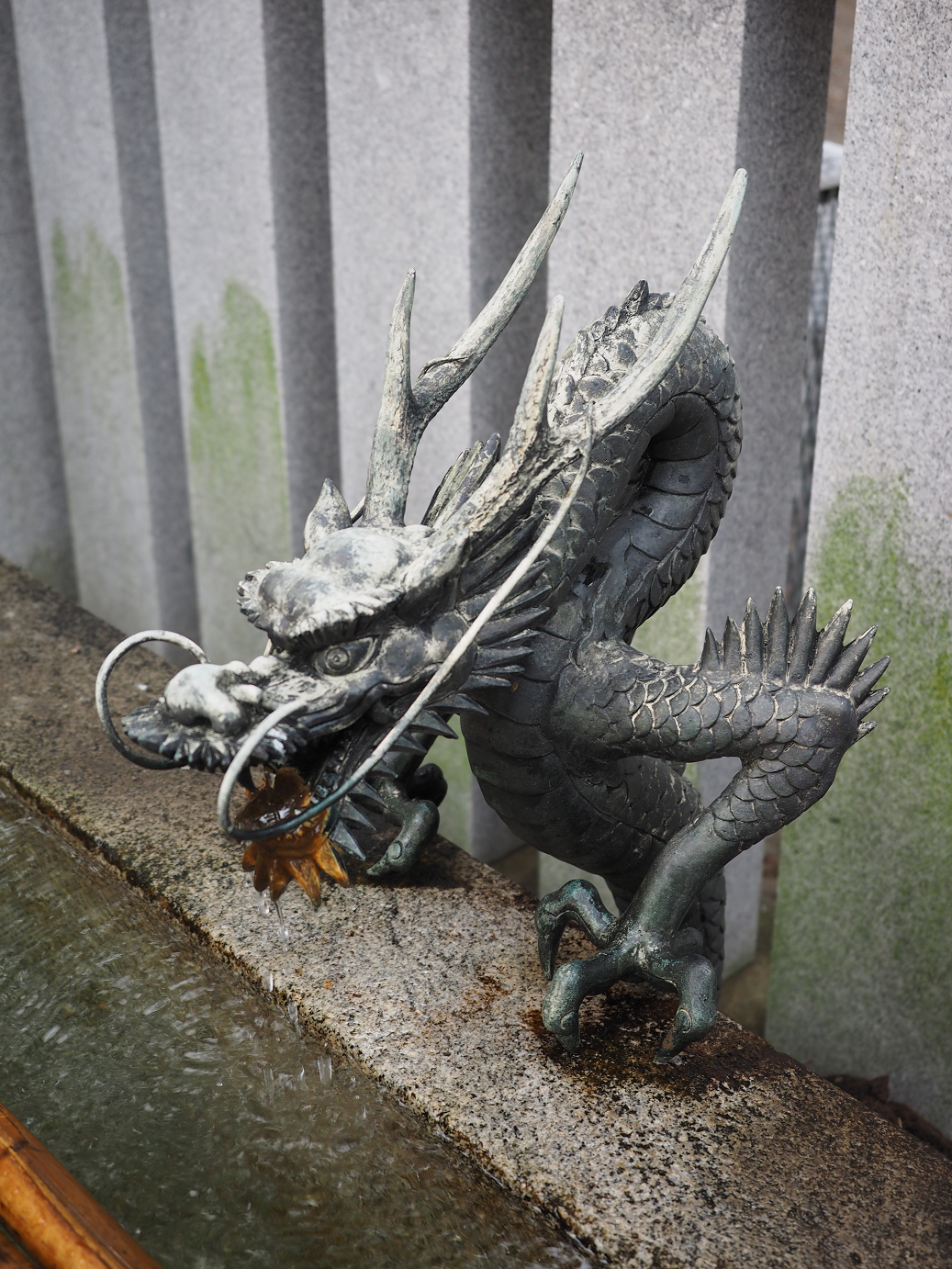 PB130114.jpg