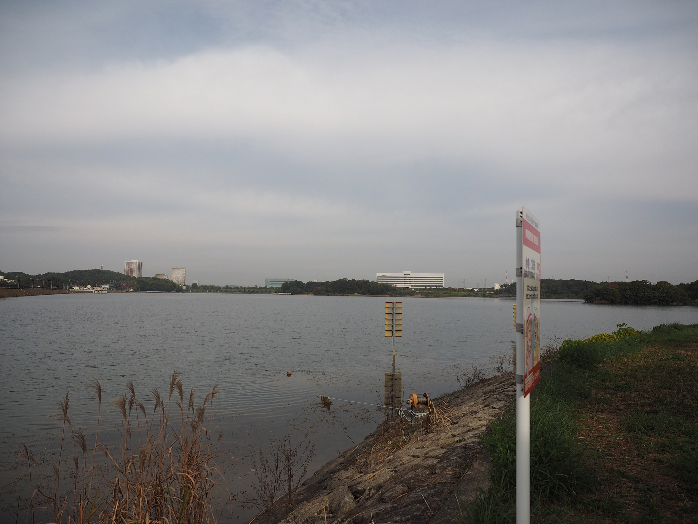 PB130129.jpg