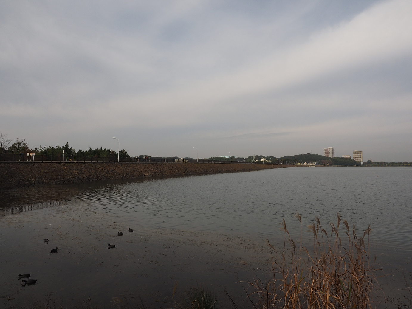 PB130132.jpg