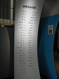 PB130145_thumb.png