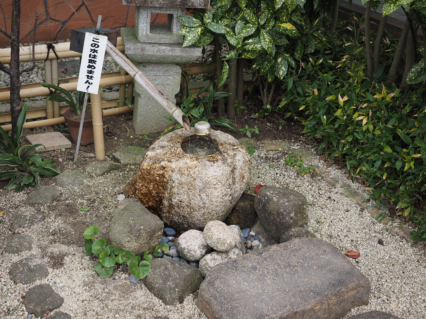PB130152.jpg