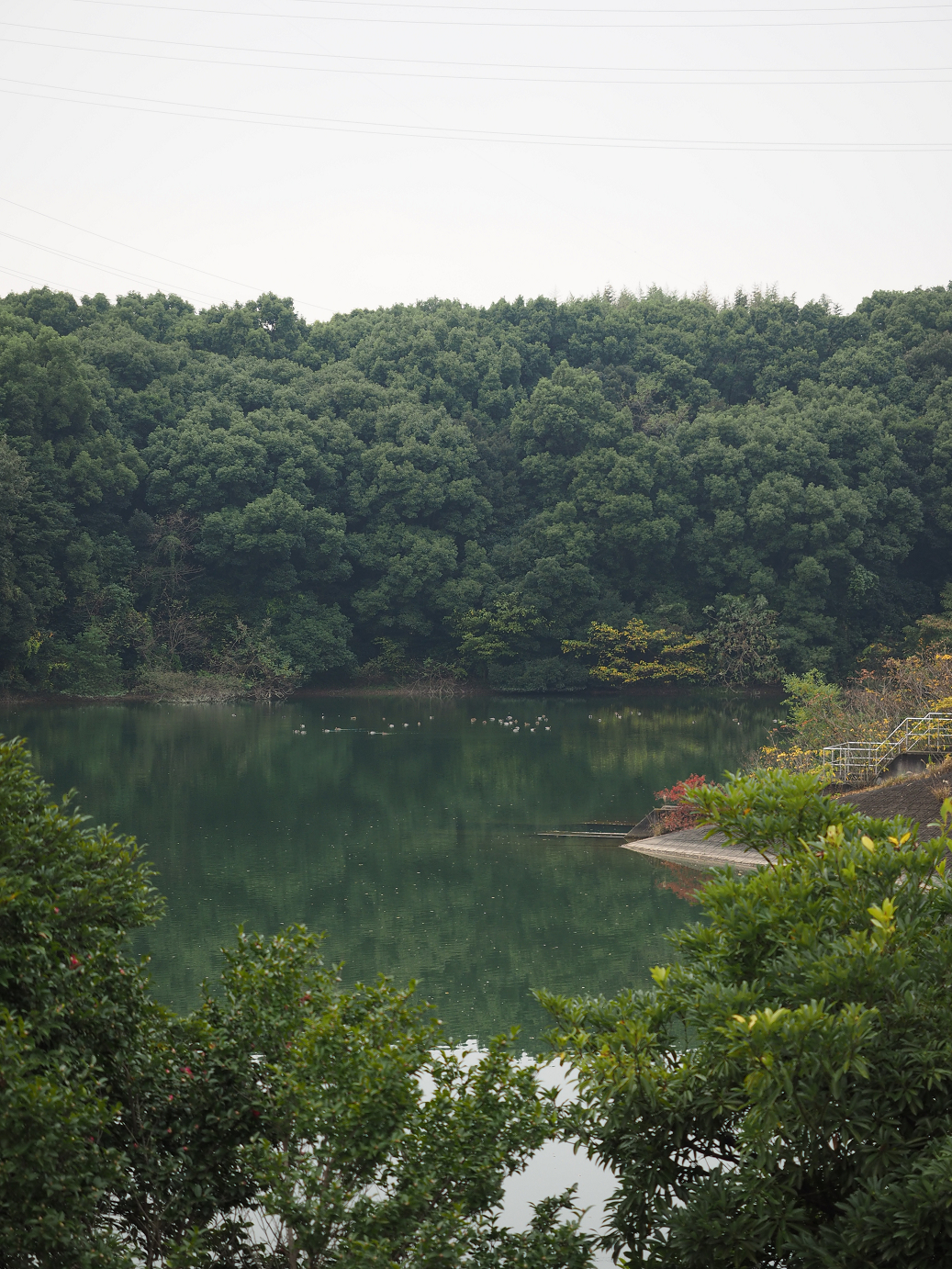PB130155.jpg