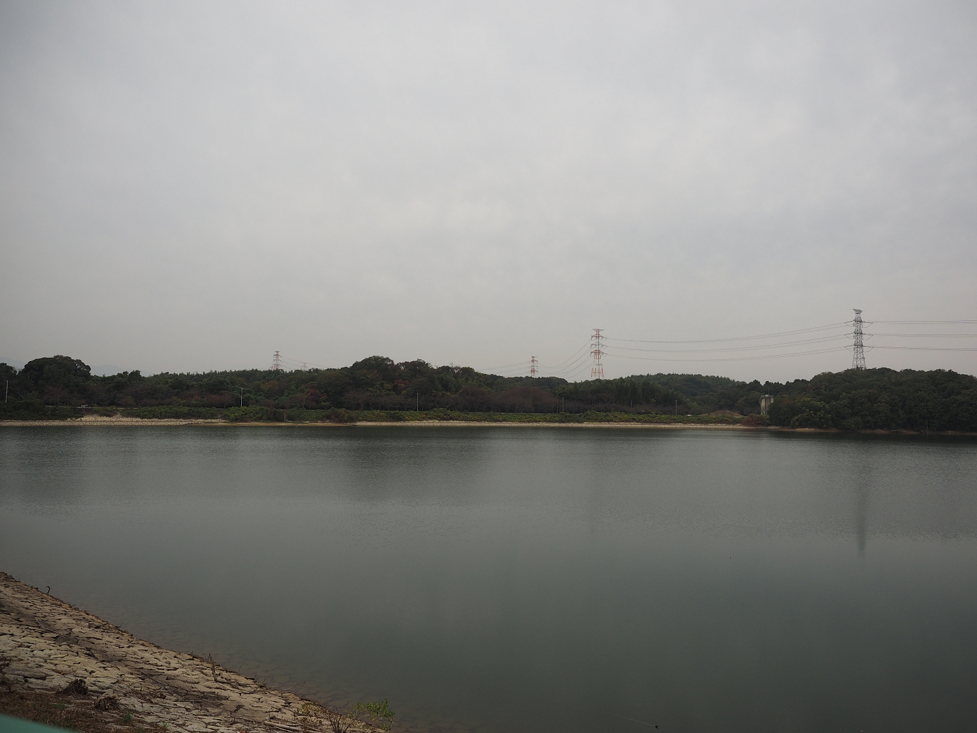 PB130161.jpg