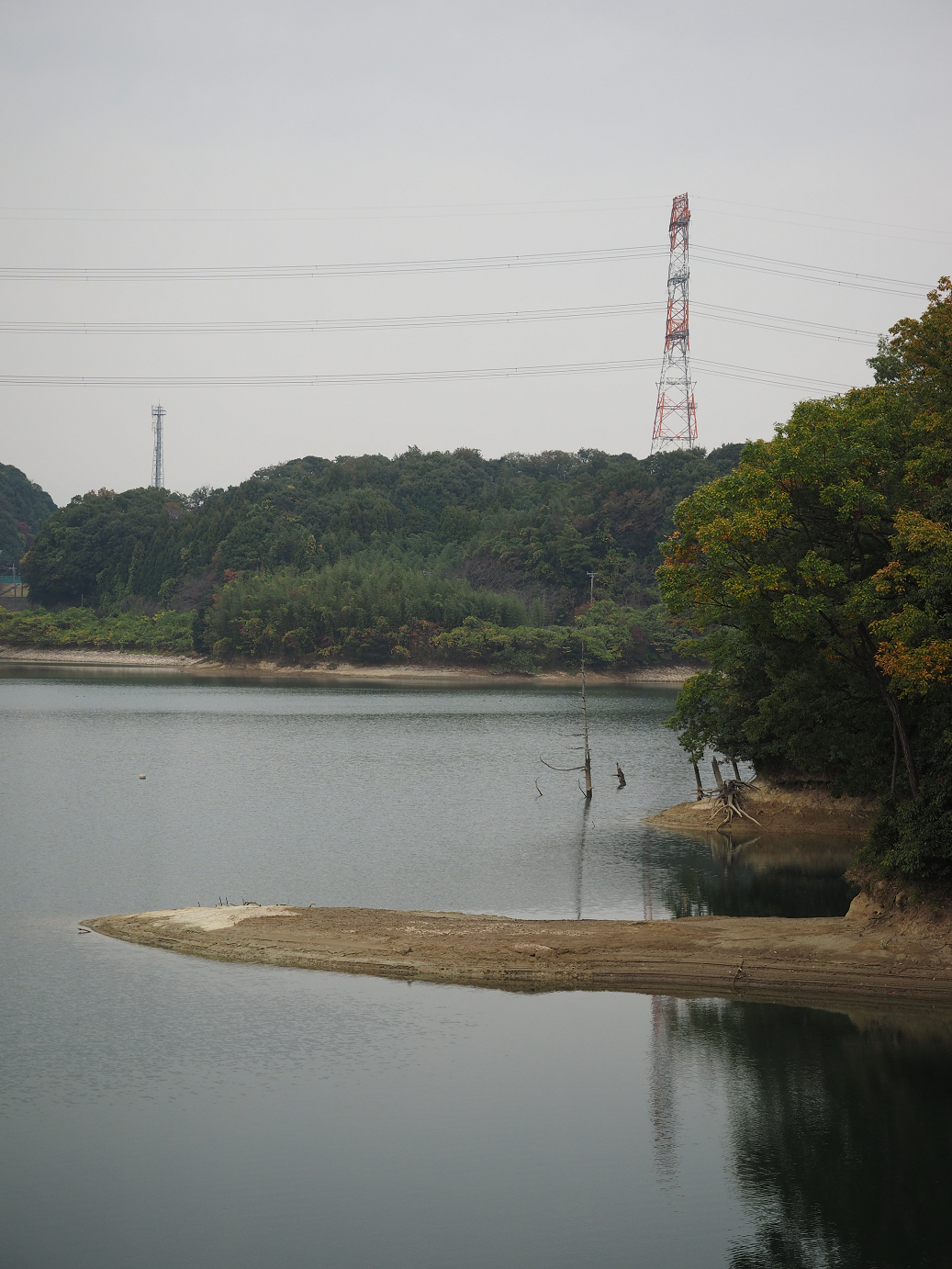 PB130164.jpg