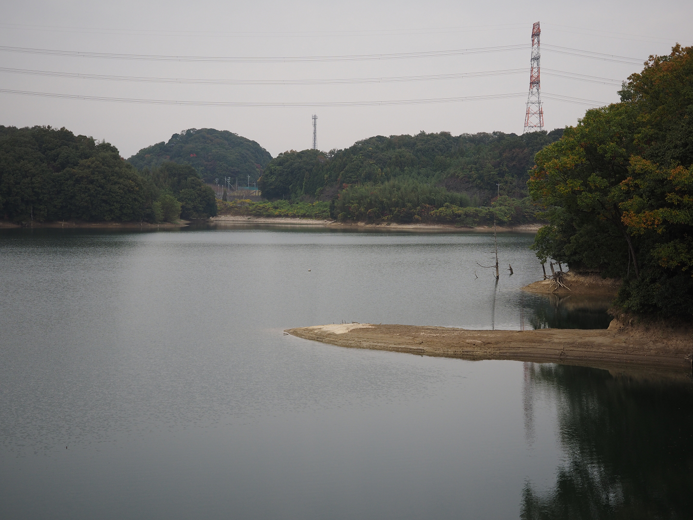 PB130165.jpg