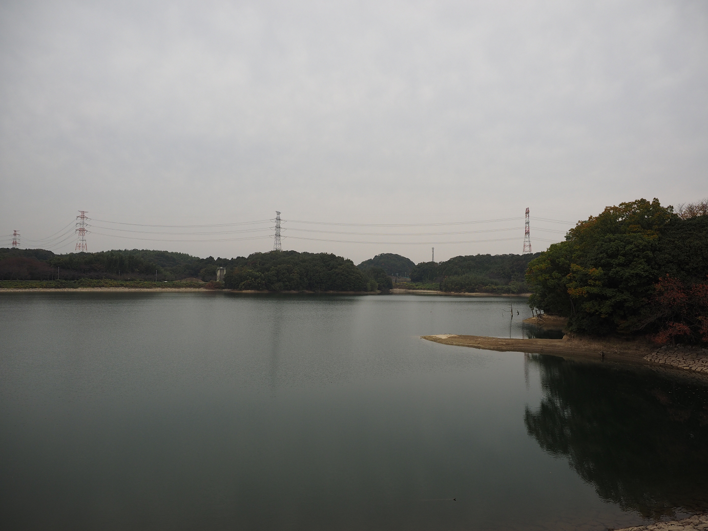 PB130166.jpg