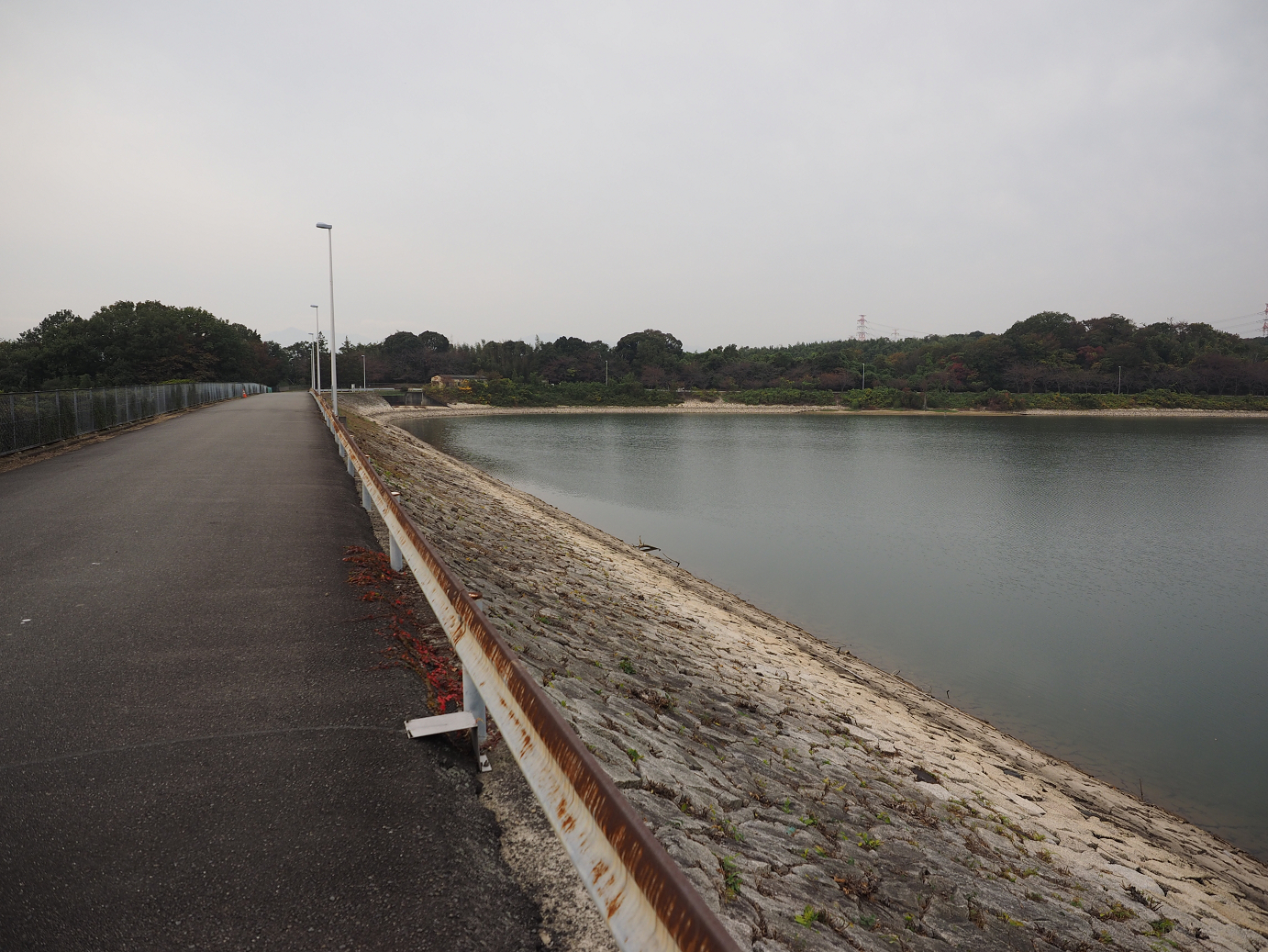 PB130169.jpg