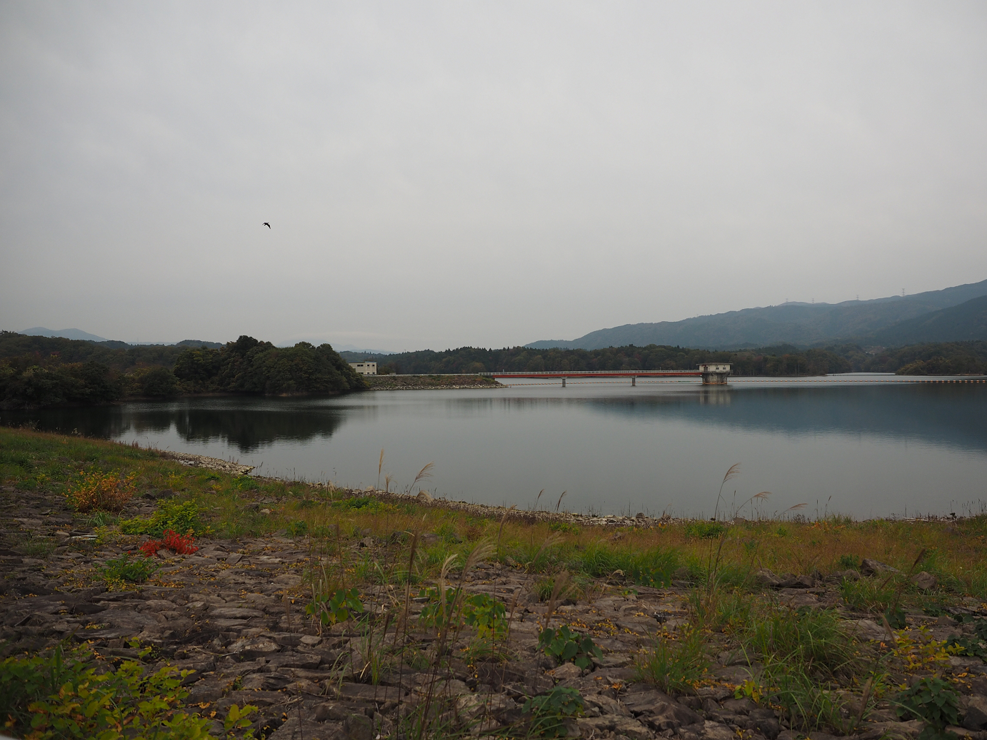 PB130173.jpg