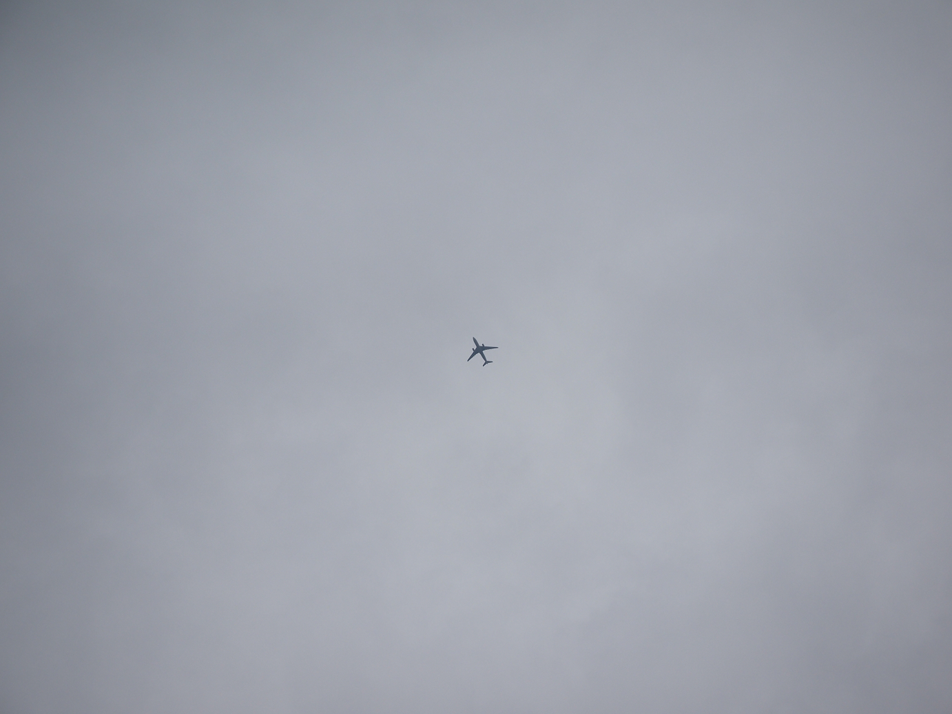PB130175.jpg