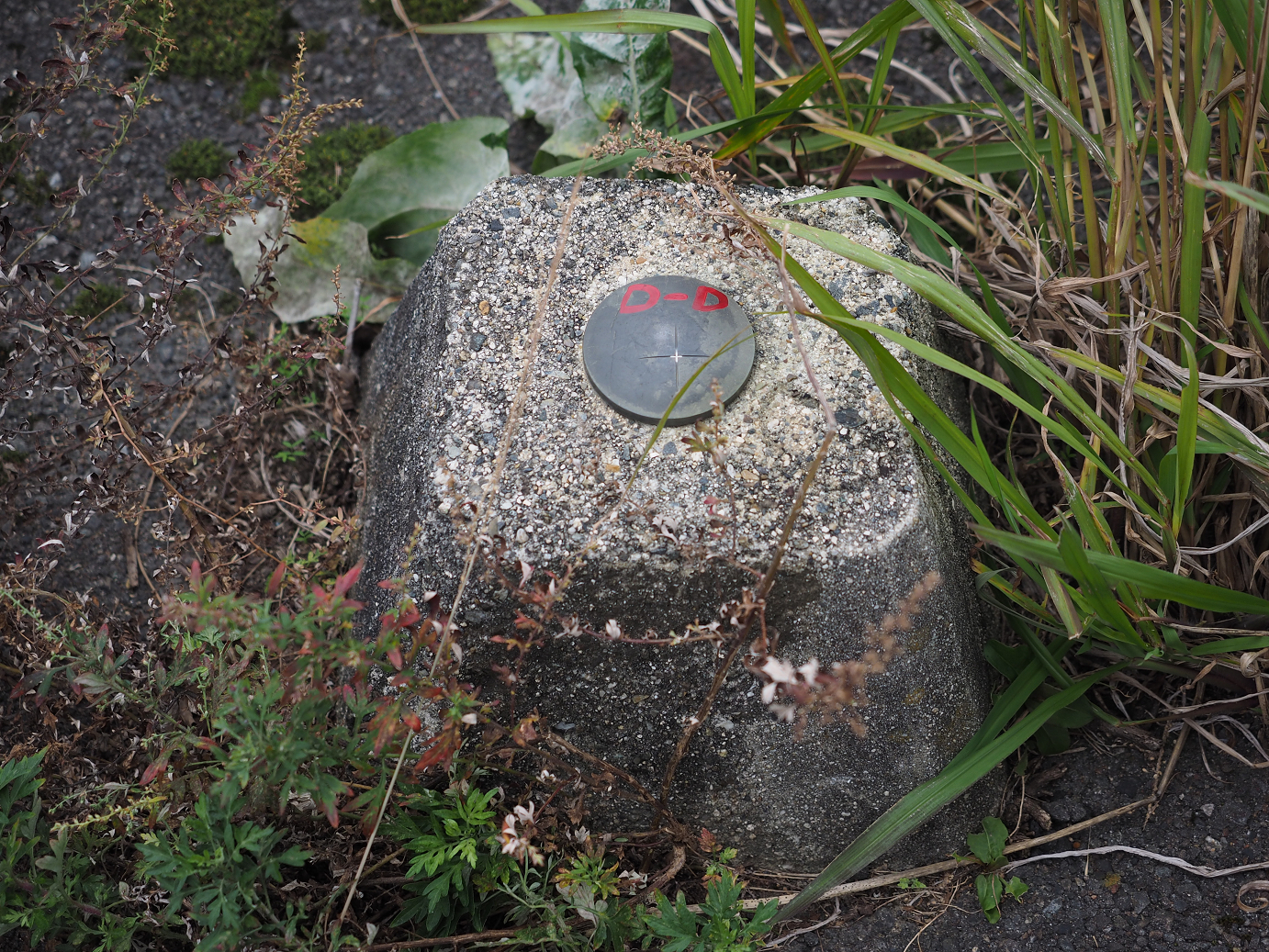 PB130182.jpg