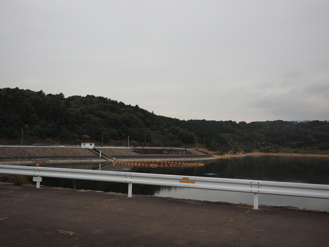 PB130185.jpg