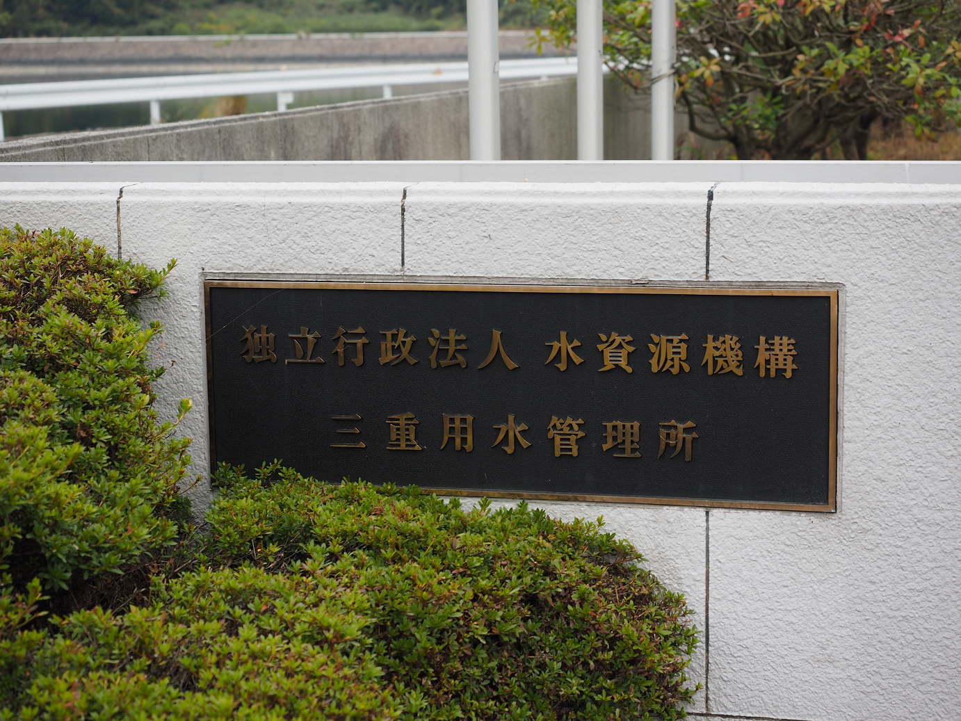 PB130201.jpg