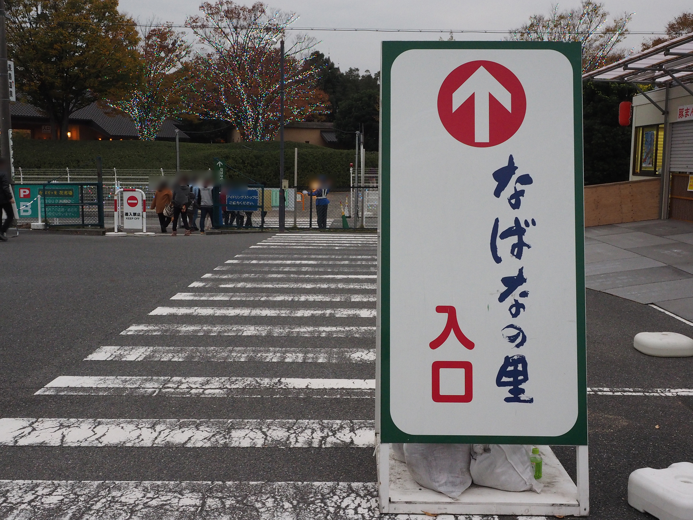 PB130210.jpg