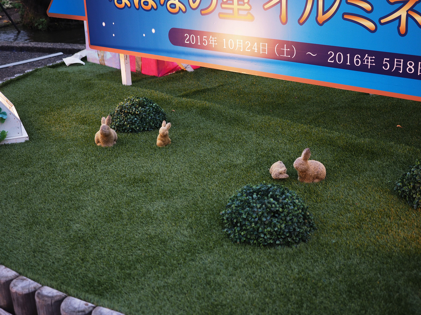 PB130217.jpg