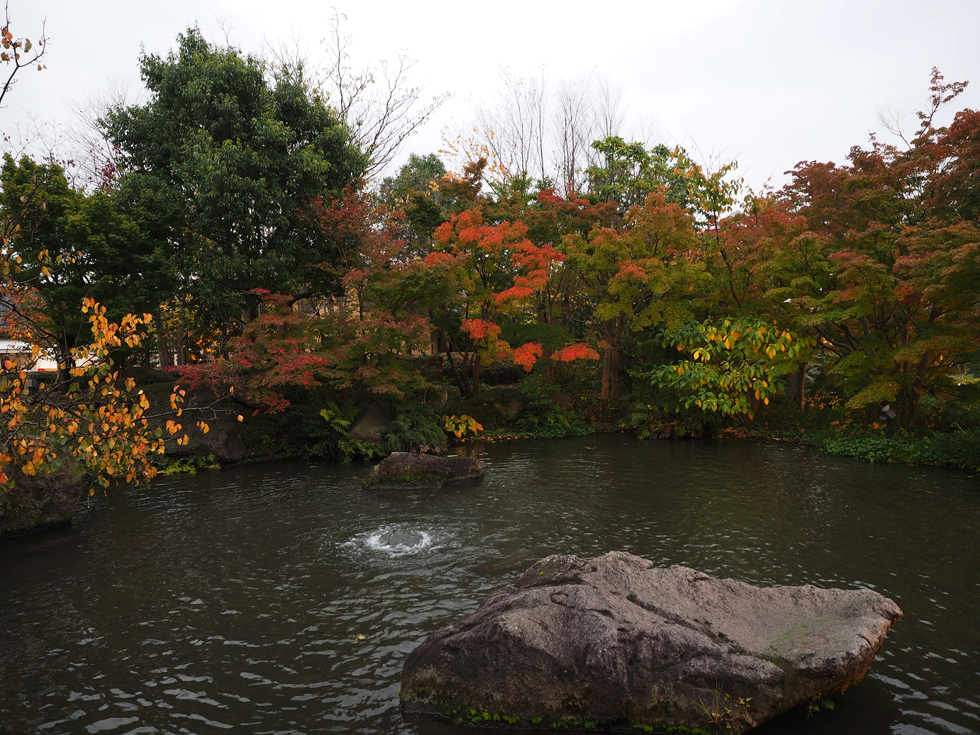 PB130220.jpg