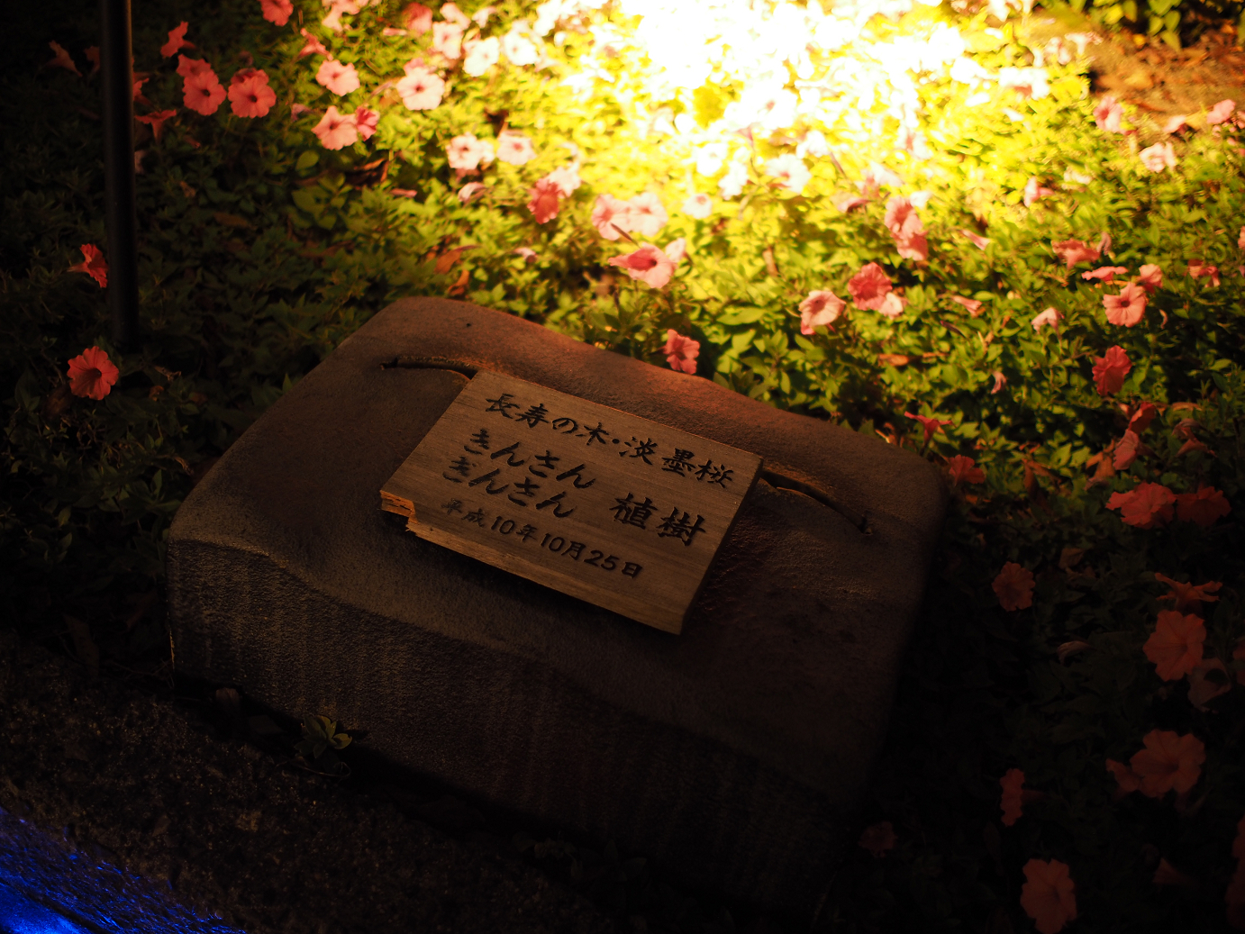 PB130280.jpg