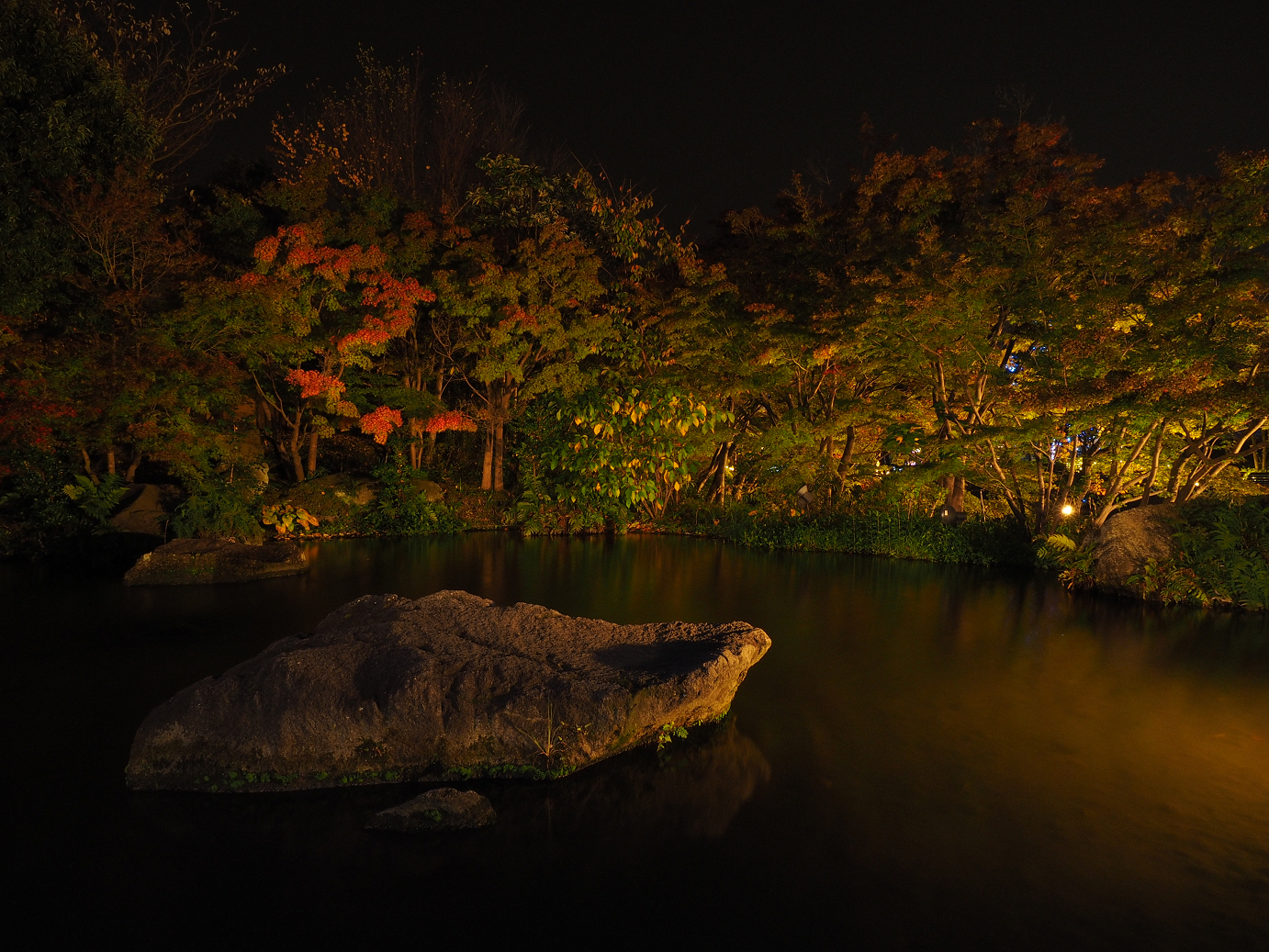 PB130446.jpg