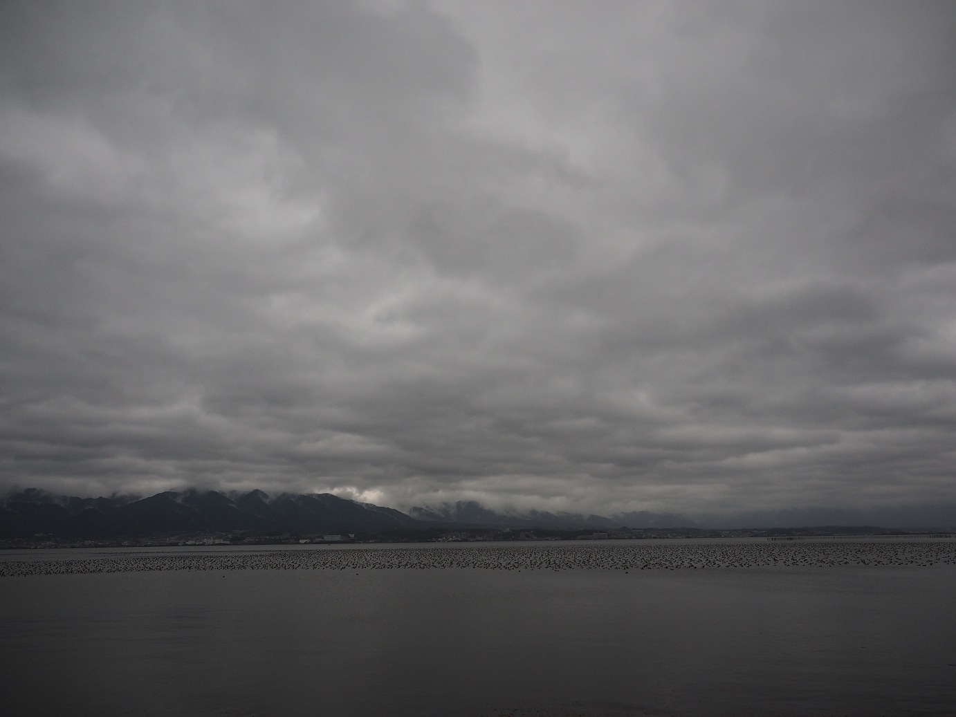 PB140451.jpg