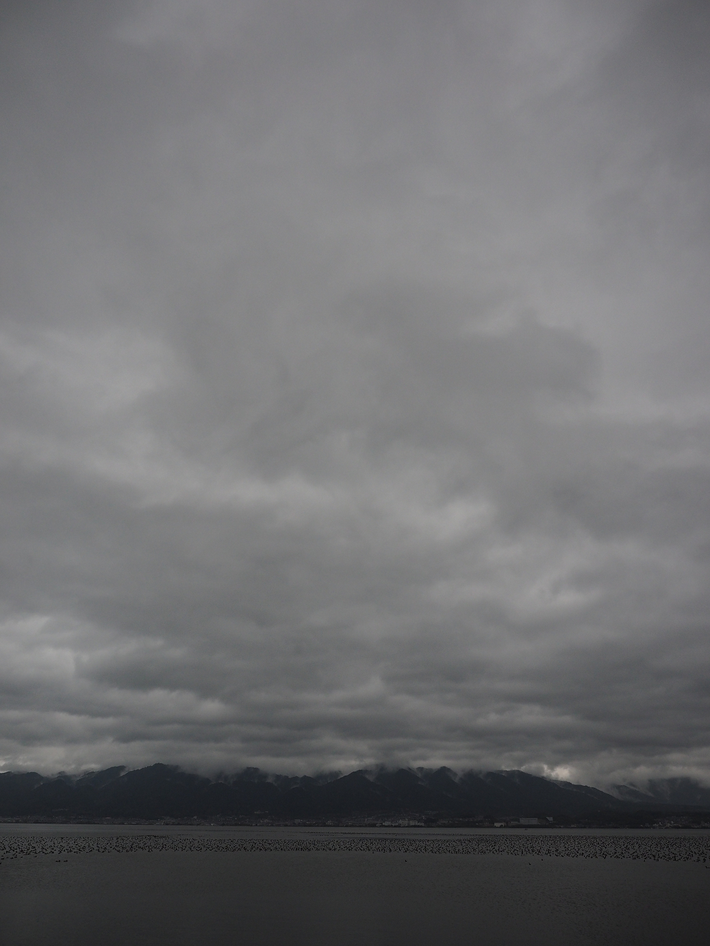 PB140452.jpg