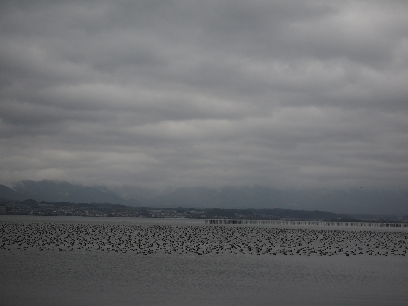 PB140454.jpg
