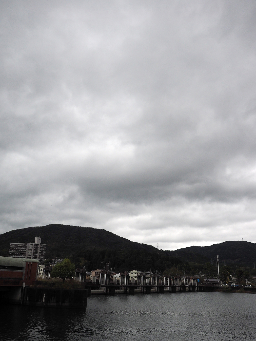 PB140459.jpg