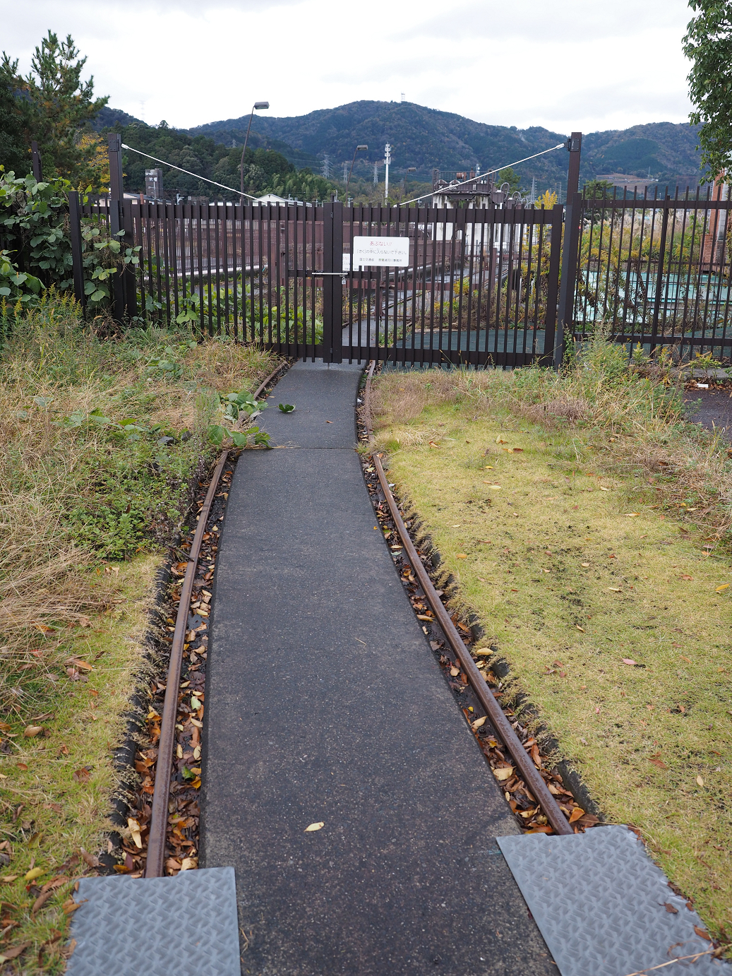 PB140476.jpg