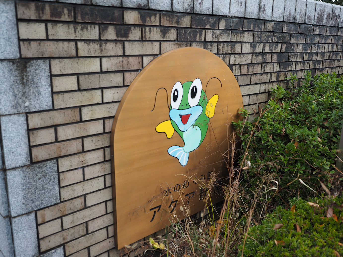 PB140488.jpg