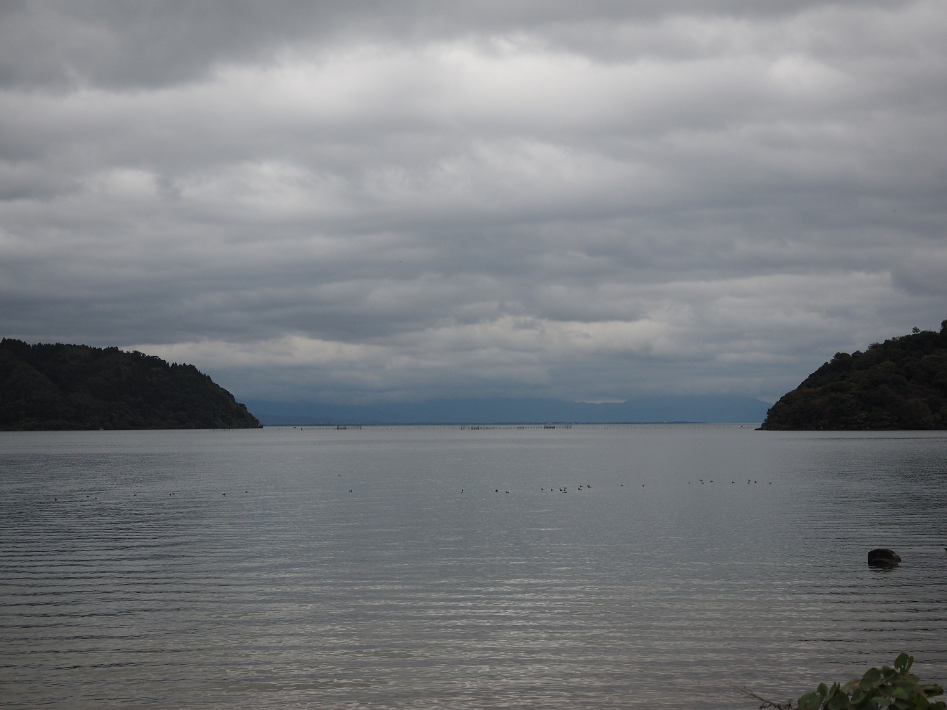 PB140497.jpg