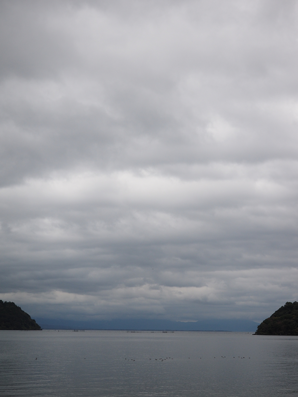 PB140498.jpg